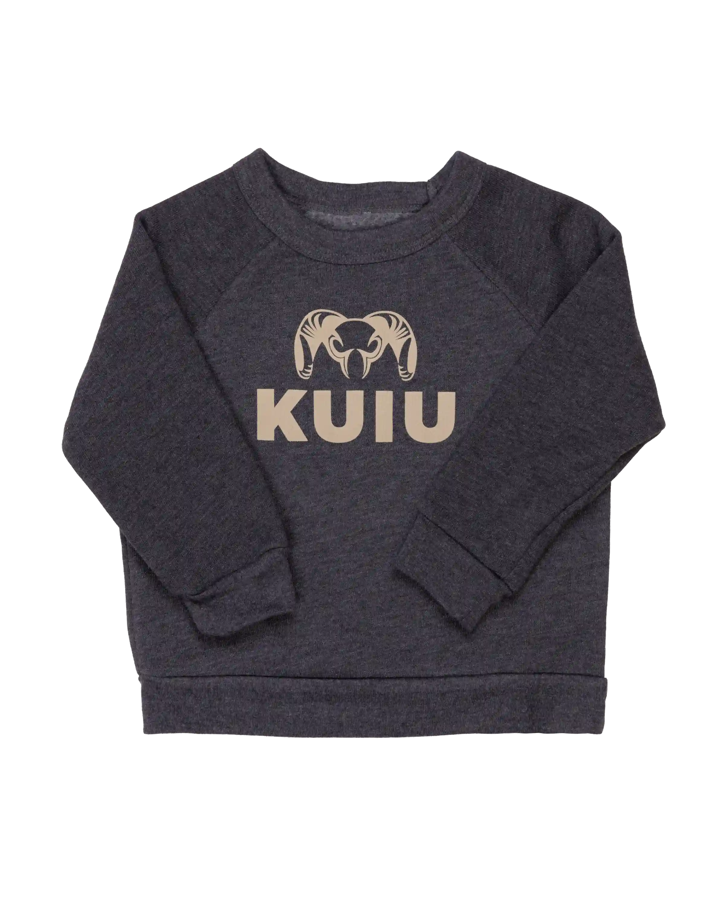 kuiuhub.com