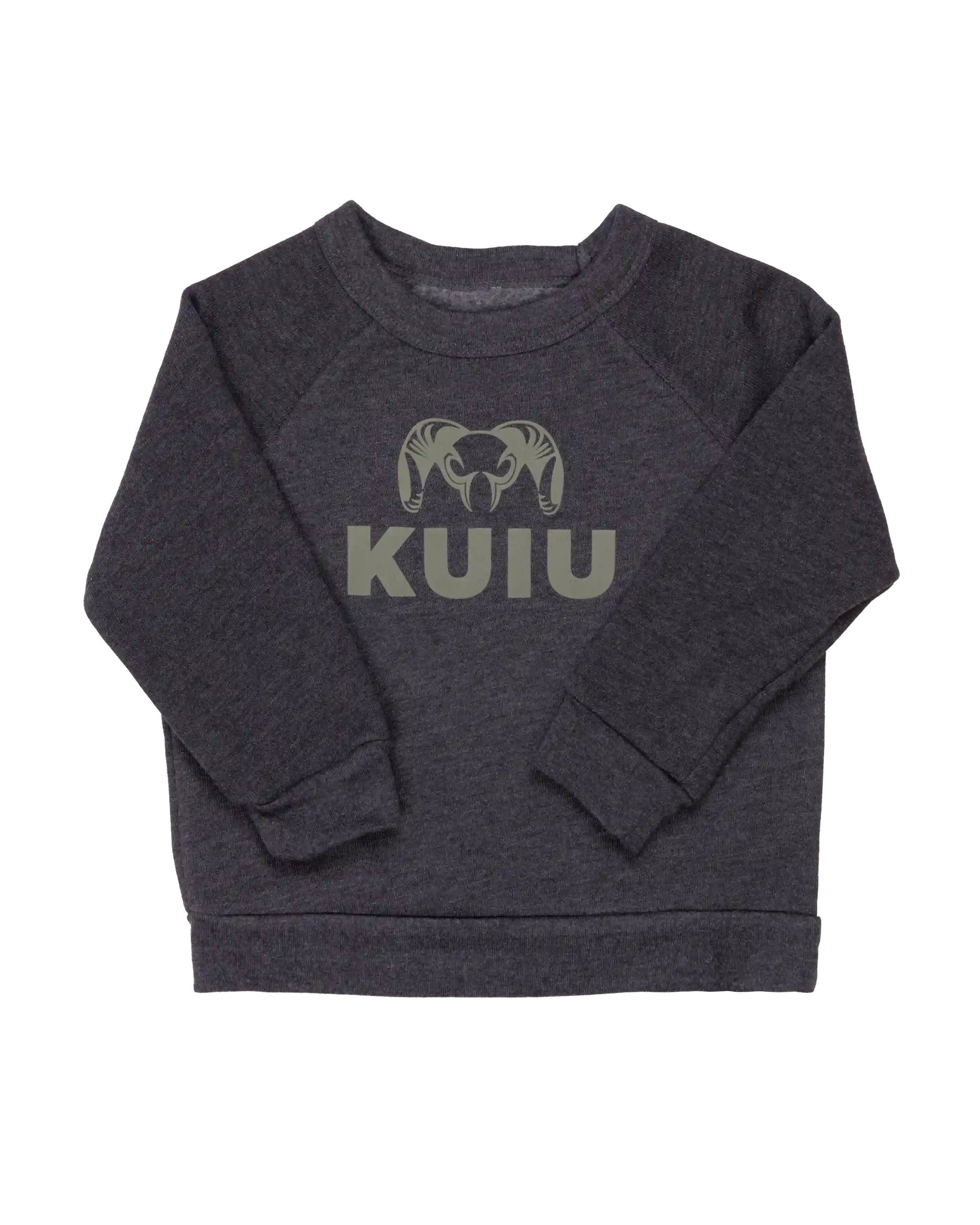 kuiuhub.com