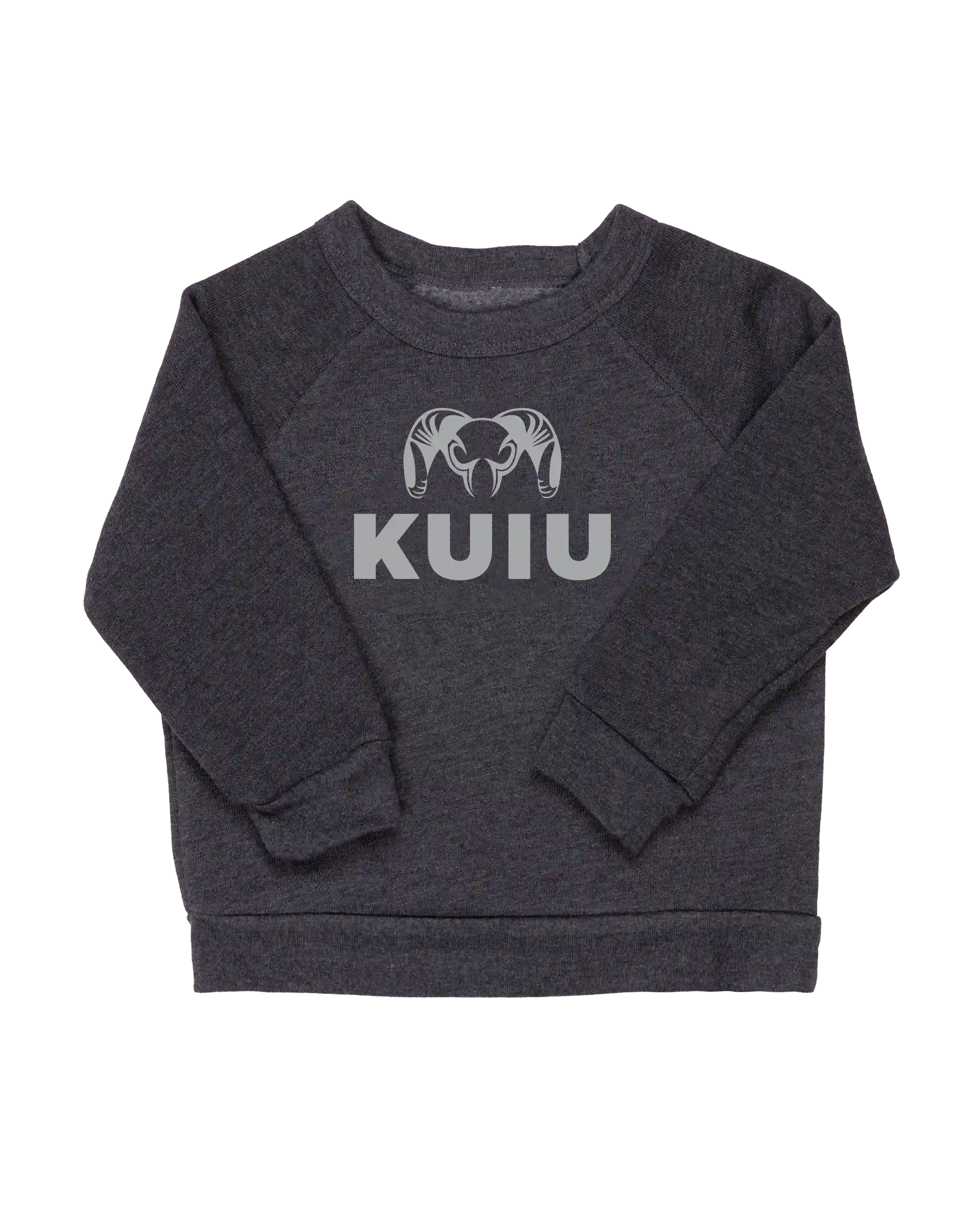 kuiuhub.com